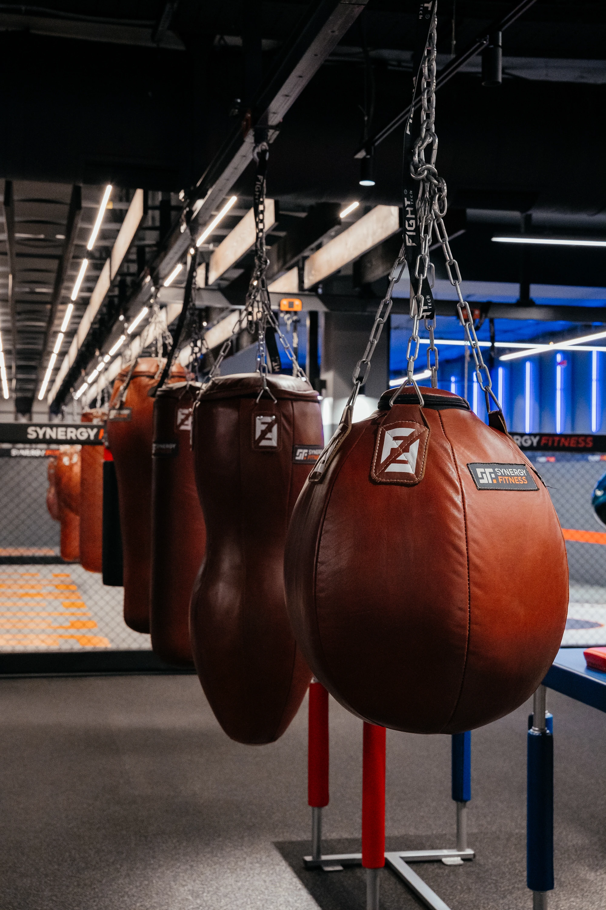 Вид тренувальних залів та обладнання для боротьби в Synergy Fitness